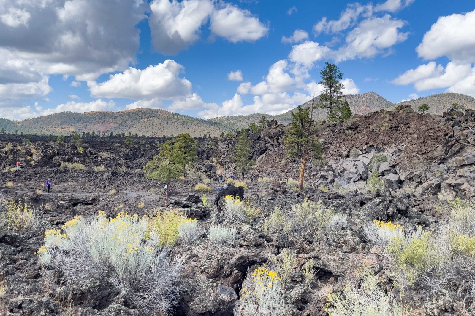 Aries Authentic Adventure in Sunset Crater