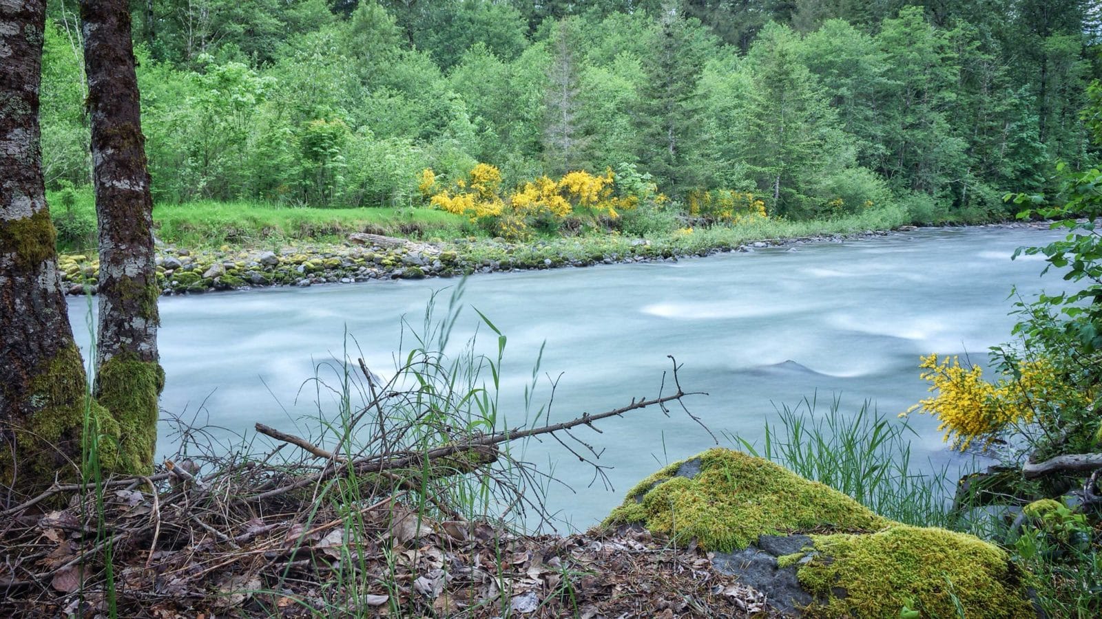 Sandy River in spring