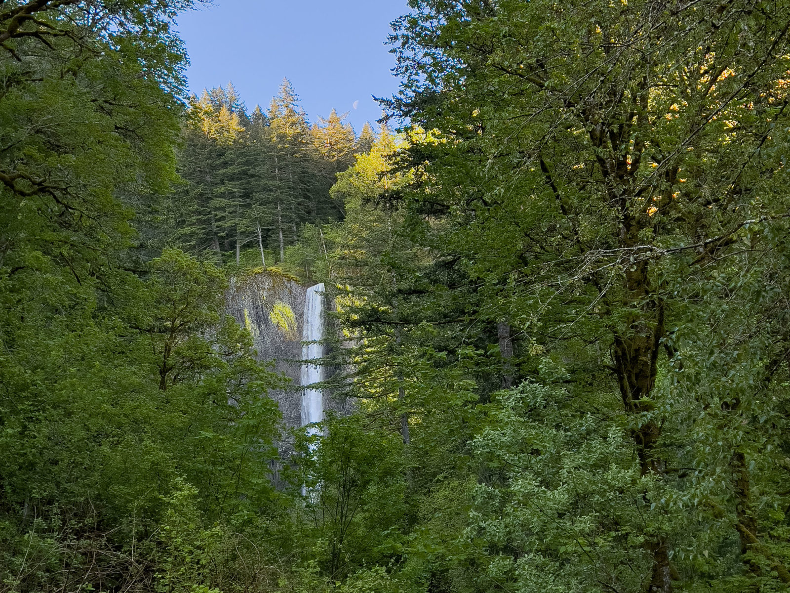 Latourell Falls under the Moon