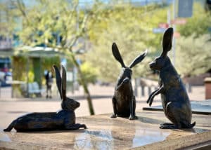 Centerpoint Rabbits at the University Avenue stop on the Valley Metro in Tempe, Arizona