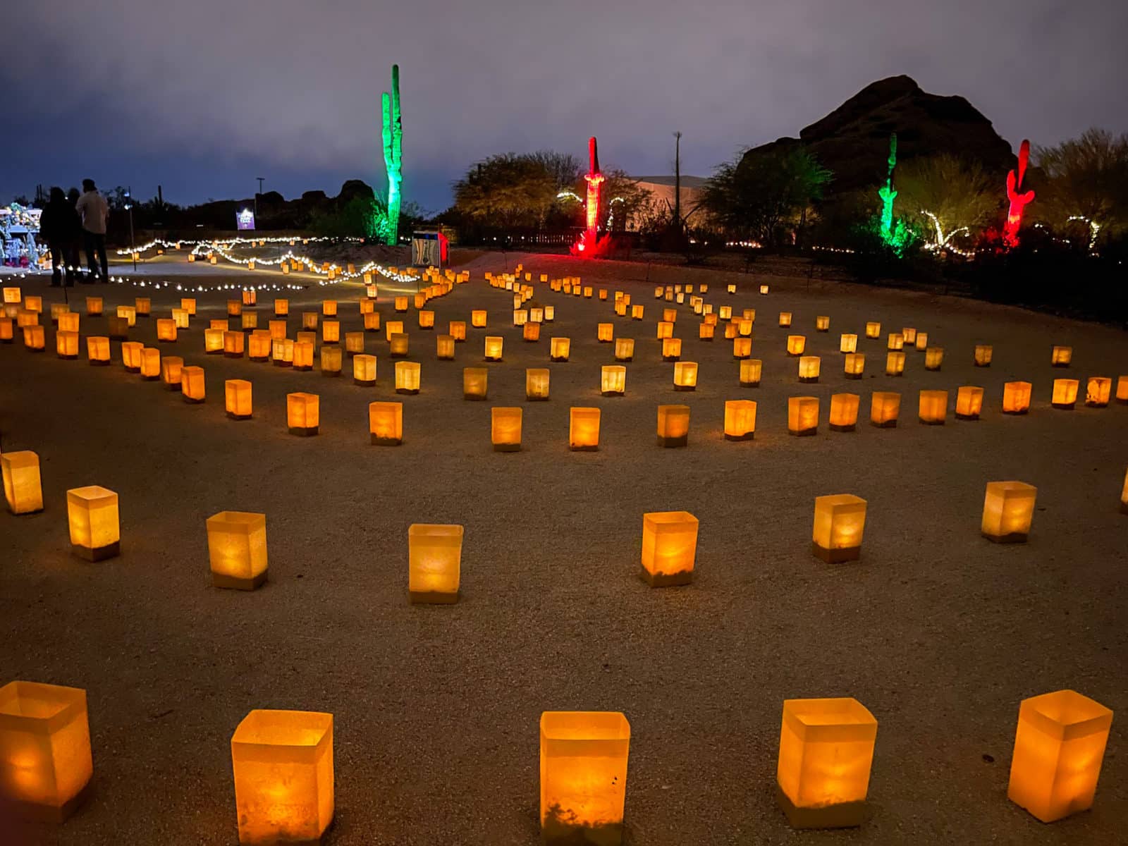 Favorite holiday lights at Desert Botanical Garden, Las Noches de las Luminarias, at night