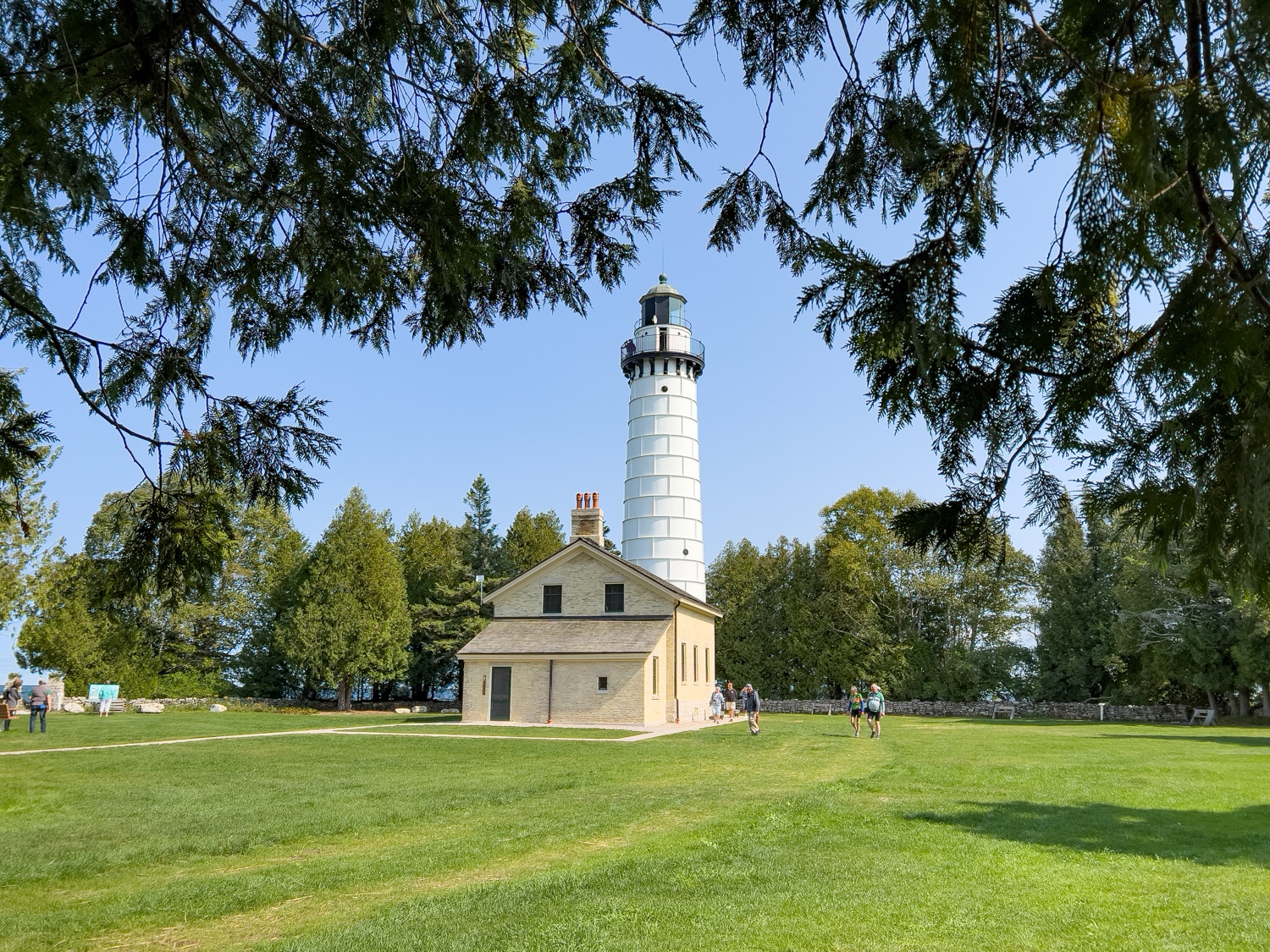 Cana Island Lighthouse, recently restored, framed under fir tree.