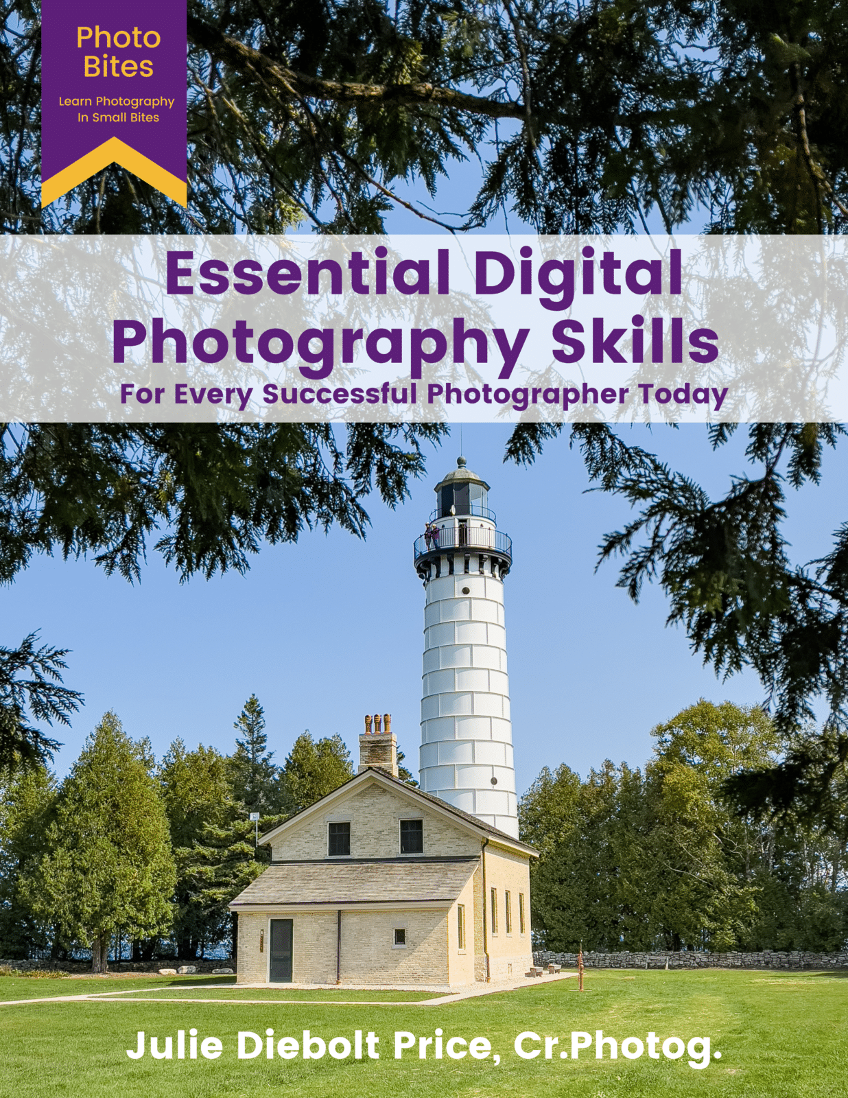 Essential Diogital PHotography Skills