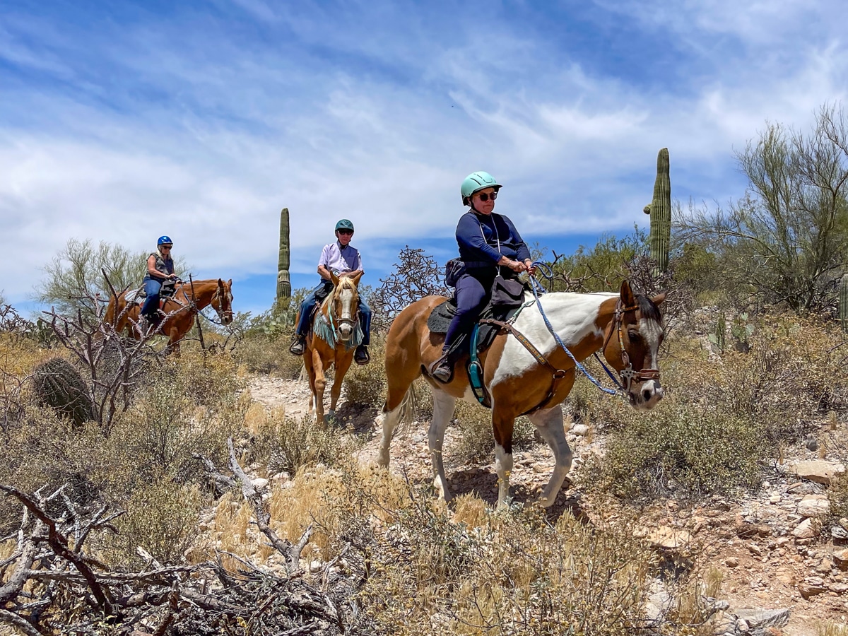 Westward Look Wyndham horseback riders in the desert with blue sky and cactus in the background