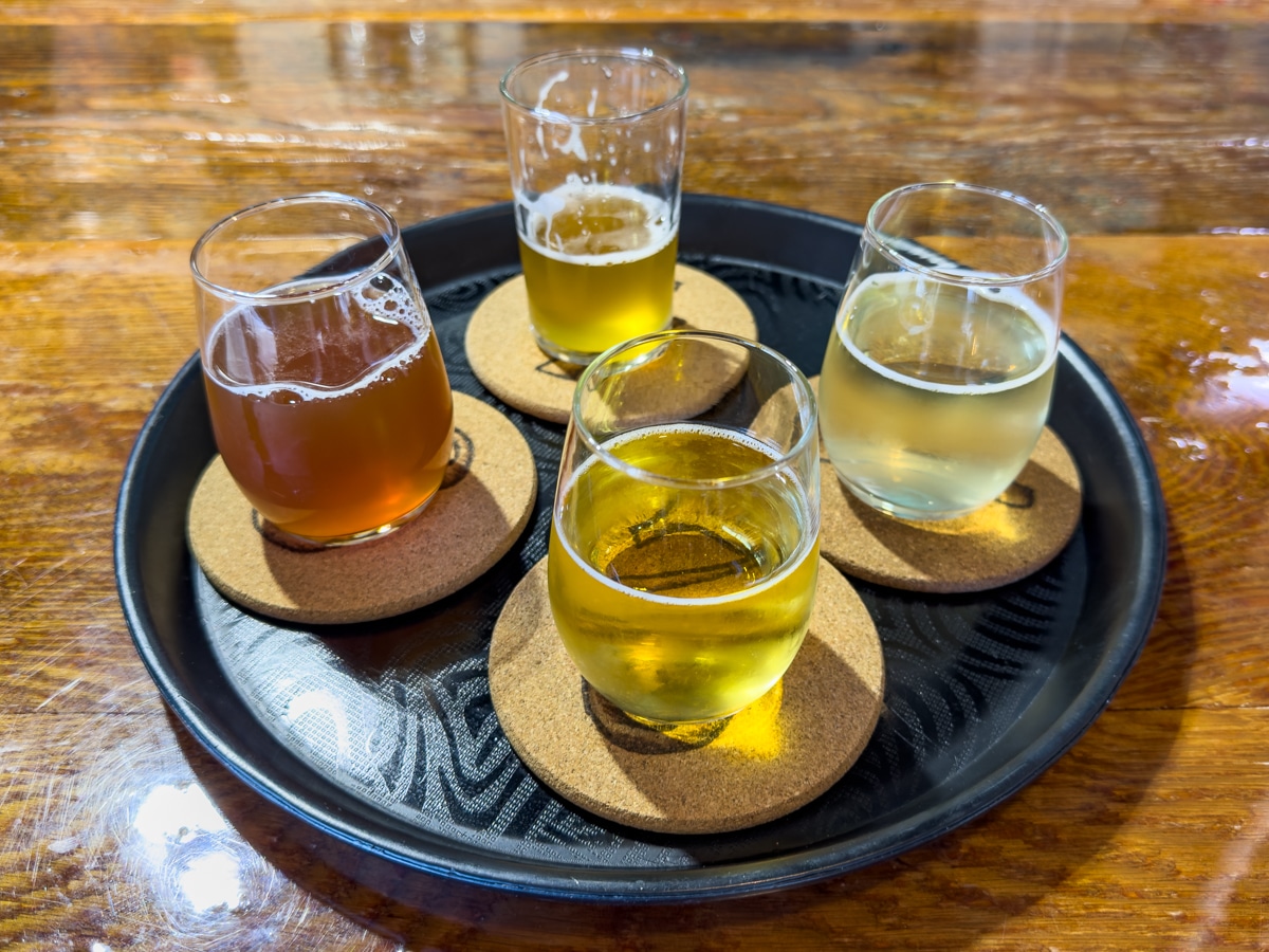 Beer and hard cider samples in Wenatchee.