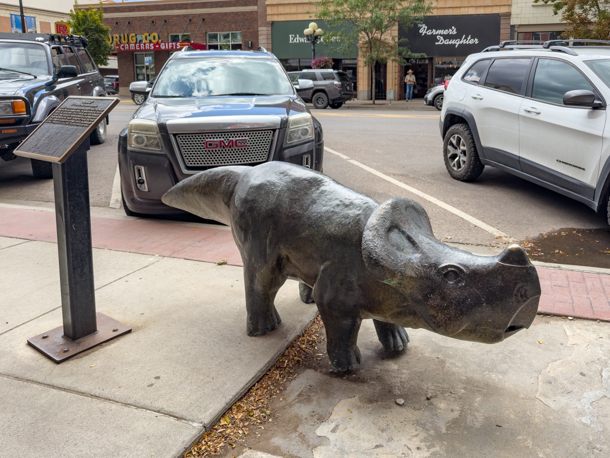 Nibbles, a life-size Montanoceratops dinosaur
