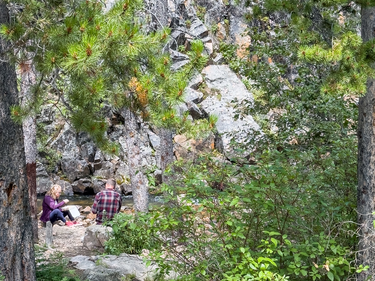 Shaded canyon at Memorial Falls trail.