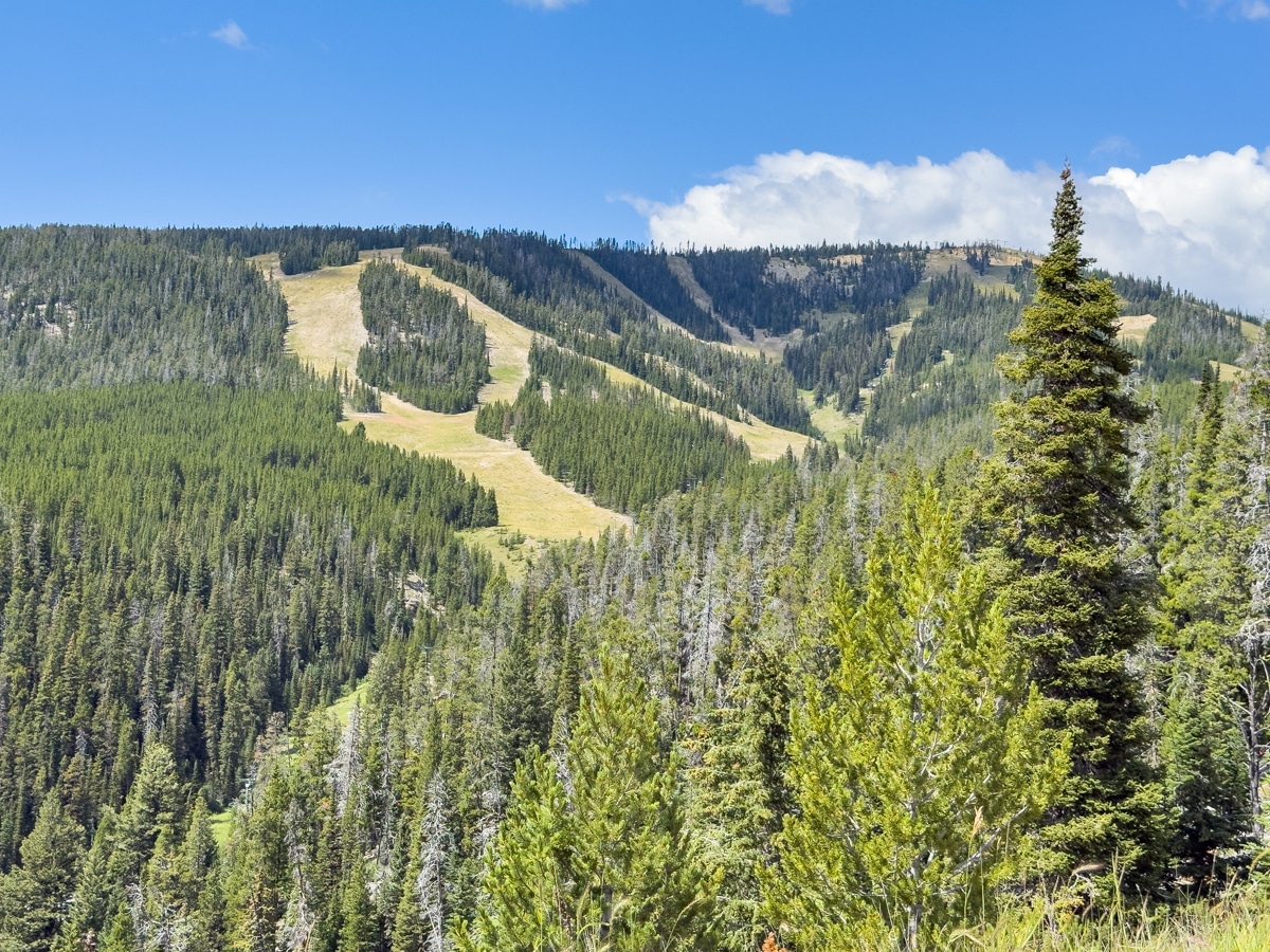 Ski runs at Showdown in summer