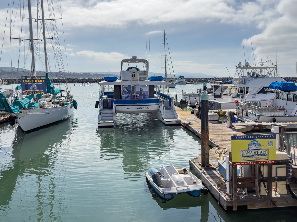 Dana Wharf whale watching catamaran in the harbor