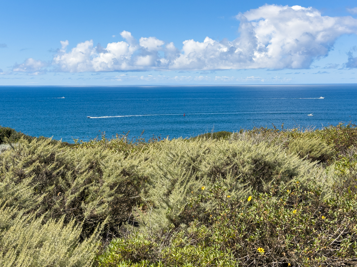 Pacific Ocean view at Dana Point Headlands