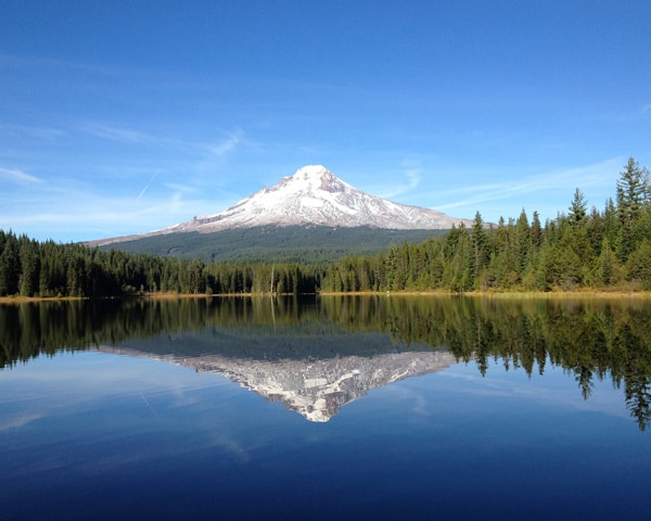 Reflection of Mt. Hood in Trillium Lake, Cascade Range, Oregon